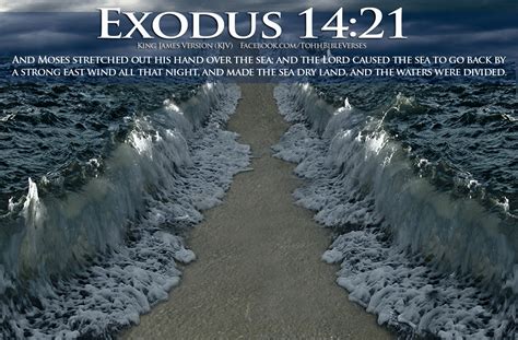 Exodus Quotes Quotesgram