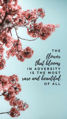 Cherry blossom tattoo Mulan quote | Mulan quotes, Disney ... A quote can be a single line from one character or a memorable dialog between several characters.