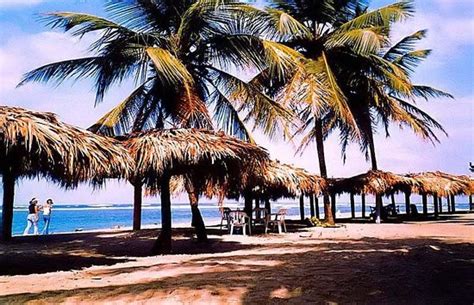 playa los gringos nagua dominican republic address top rated beach reviews tripadvisor