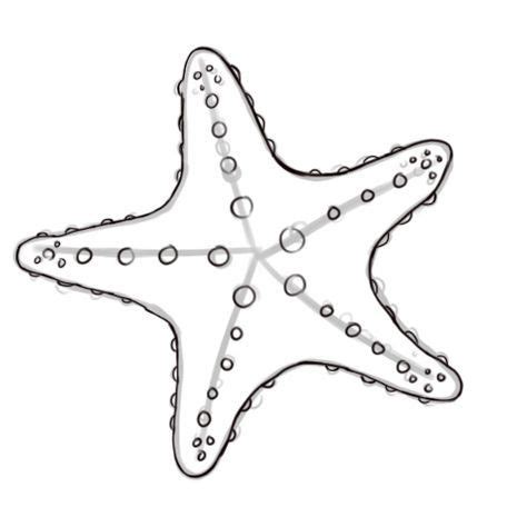 How to Draw a Starfish 6 Steps with Pictures wikiHow Рисунки