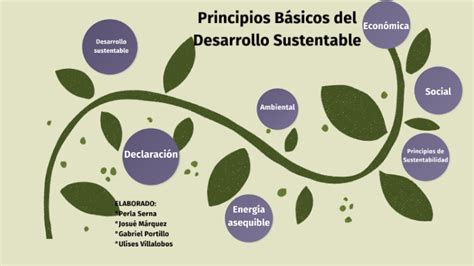 Principios Del Desarrollo Sustentable Explicacion Principio De Images