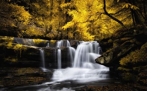 Waterfall On A River In The Forest And Trees Leaves Yellowed