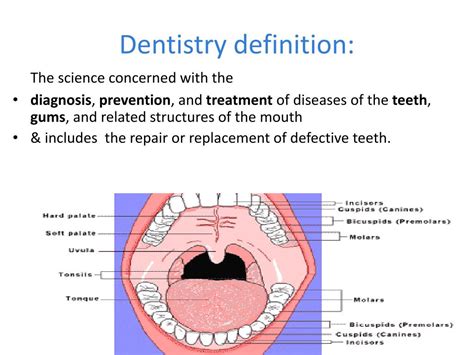 Ppt Dentistry Definition Powerpoint Presentation Free Download Id