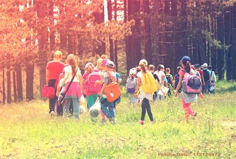 Ausflüge Im Kindergarten Eine Checkliste Für Die Richtige Vorbereitung Und Durchführung