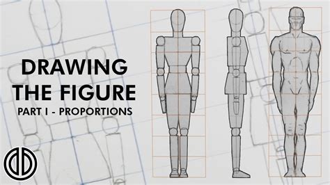Drawing The Human Figure Proportions Tutorial Part I Youtube