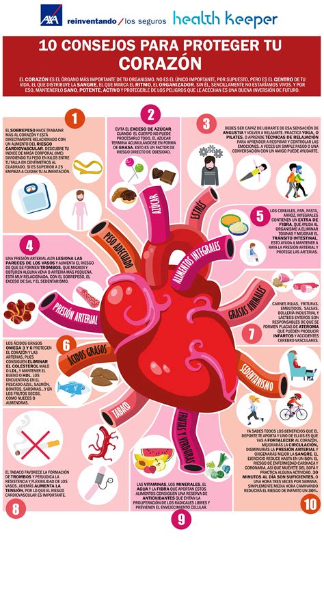 Proteger El Corazón Es Proteger Tu Vida Porque El Corazón Es El órgano