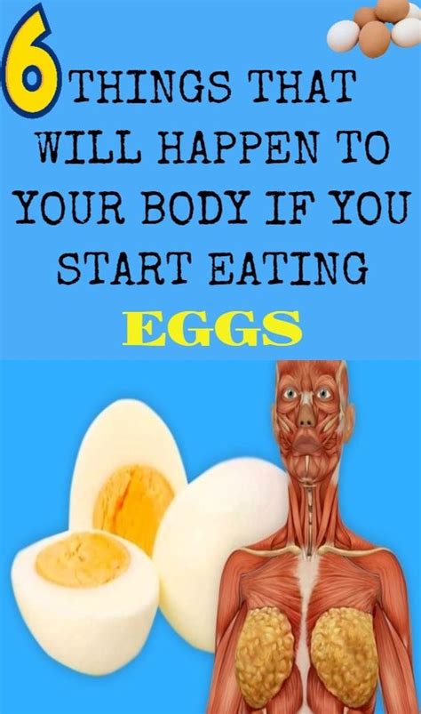 Things That Will Happen To Your Body If You Start Eating Eggs Health And Beauty