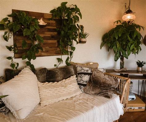 15 Best Indoor Hanging Plants To Decorate Your Home