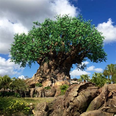 Disney's Animal Kingdom - The Tree of Life