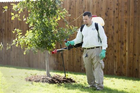 We are a family owned company that started in georgetown, tx. Determine When to Immediately Call for Plano Pest Control ...