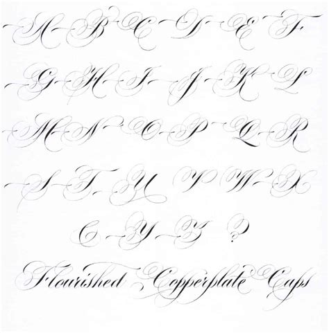 Unique Fancy Cursive Script Paijo Network Copperplate Calligraphy