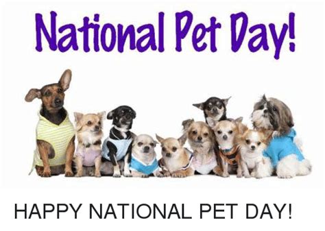 Find the perfect national pet day stock illustrations from getty images. It's National Pet Day PHOTOS - Aletha McManama | Digital ...