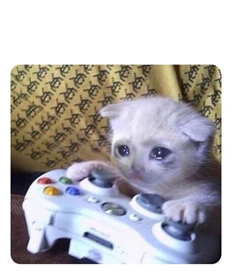 Sad cat playing video games template : MemeTemplatesOfficial