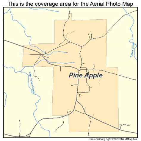 Aerial Photography Map Of Pine Apple Al Alabama