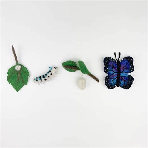 Hand Felted Life Cycle Of A Blue Morpho Butterfly Learning Kit Blue