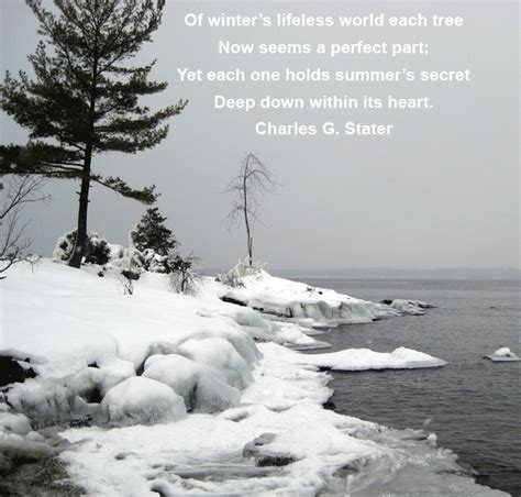 Carol Chapman Inspirational Quote On Winter
