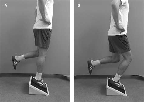 Test Retest Og Minimal Detectable Change Af Single Leg Decline Squat