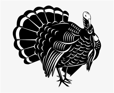 Download High Quality Turkey Clipart Black And White Wild Transparent