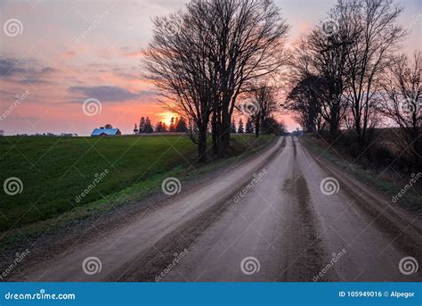 Tree Lined Unpaved Country Road At Sunset Stock Photo Image Of