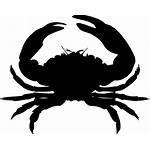 Crab Cancer Zodiac Sign Claw Pixabay Seafood