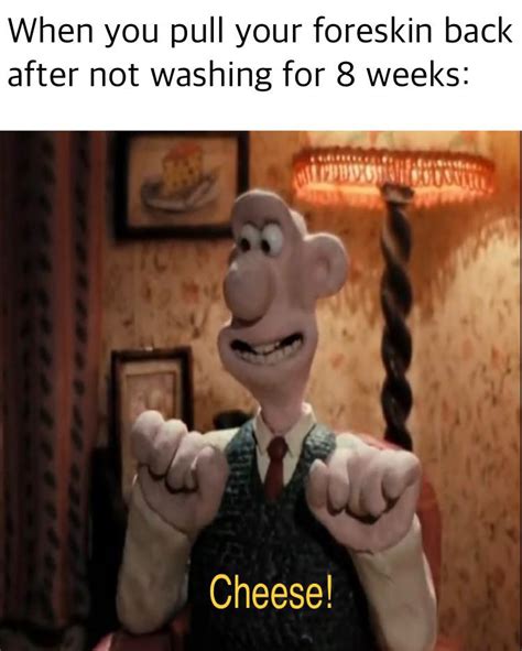 We Found The Right Cheese Gromit R Cursedmemes