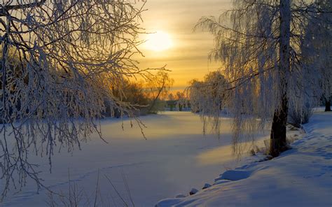 Sweden Winter Snow Frost Forest Trees Meadow Morning Sun Sunrise Rivers