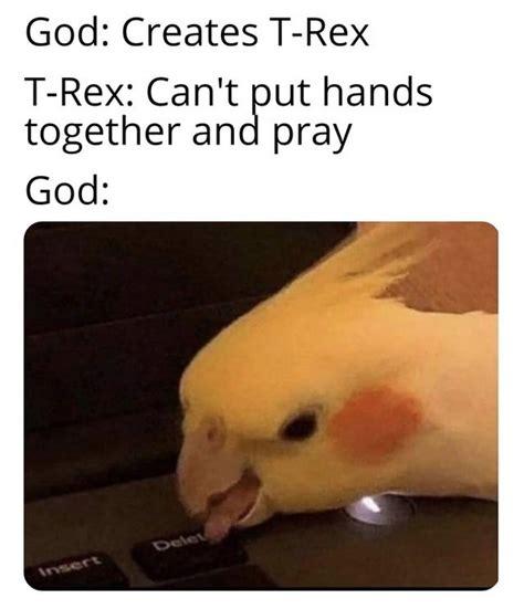 Another Birb Meme Cuz I Love Birbs Meme By Epic Parakeets Memedroid