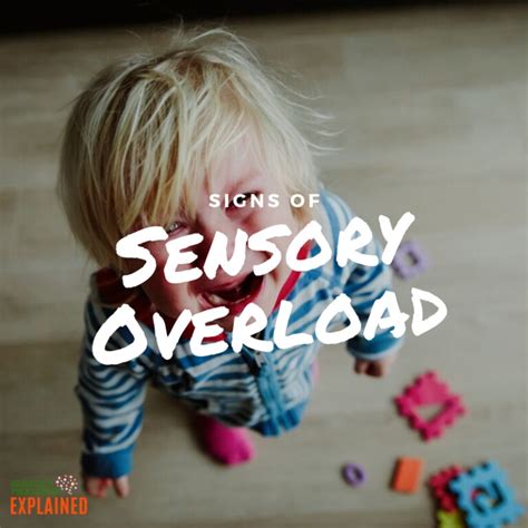 An Introduction To The 8 Sensory Systems Sensory Processing Explained