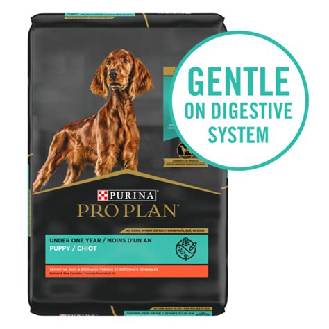 Signs of a sensitive stomach in a puppy can include indigestion, diarrhea or loose stools, constipation, excessive gassiness and vomiting. Purina Pro Plan Probiotic, Sensitive Stomach Dry Puppy ...