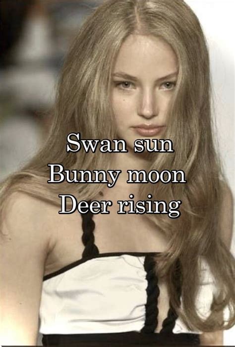 Pin By 𝓁𝒶𝓃𝒶˚୨୧⋆｡˚ ⋆ On God I Love Being A Woman♥♡∞｡｡ In 2022 Moon Swan Bunny