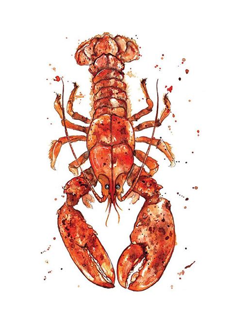 Giclee Fine Art Print Red Lobster Watercolour Painting Etsy Lobster