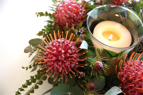 On our online store, we believe in quality and freshness to be key ingredients for gifting. Swallows Nest Farm: Christmas Cones