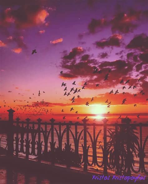 An Idyllic Sunset 🌇 On The Beach 🌊 With Flying Birds 🐦🐦🐦🐦 From The Balcony 👌☺💖