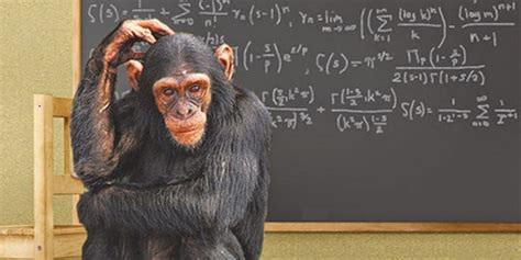 Are Monkeys Smart Or Just Greedy You Do The Math
