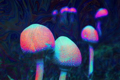 Magic Mushrooms On Tumblr