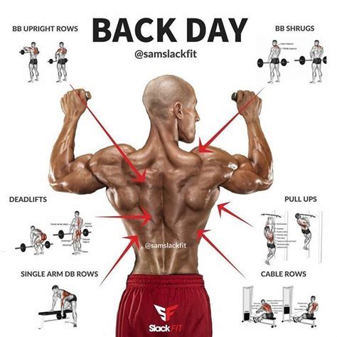 The Ultimate Back Workout The Best Back Exercises For A Thick And Wide Back ChestWorkouts