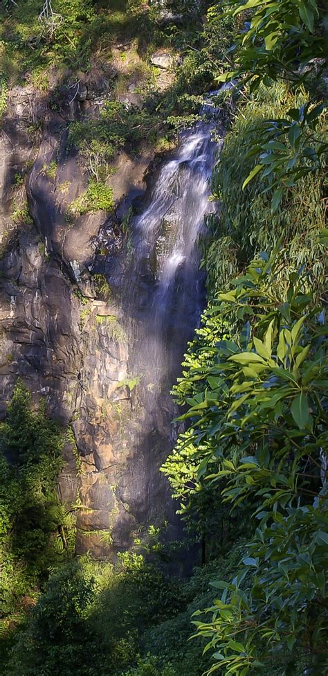Free Images Tree Nature Forest Waterfall River Stream Green