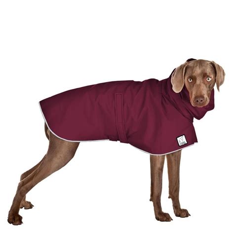 Weimaraner Rain Coat Weimaraner Dog Hiking Gear Dog Clothes