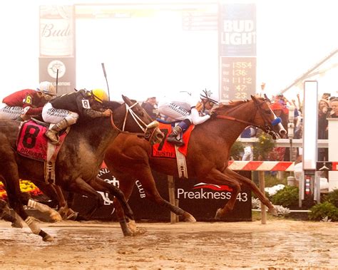 However, in 1889, due to changes in the racing industry, the preakness and pimlico galloped to a halt. Triple Crown Odds | The TwinSpires Edge