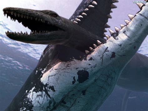 Nature Dinosaurs Evolution Oceans Teeth Neck Underwater