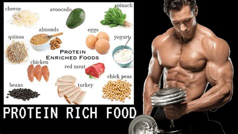 Which Food Contains The Most Protein Health And Gym Guide