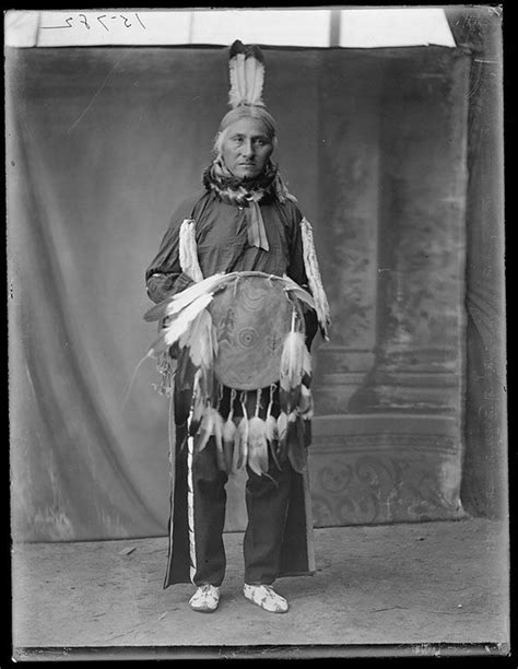 White Buffalo Cheyenne 1904 Native American Tribes Native American Indians Native North