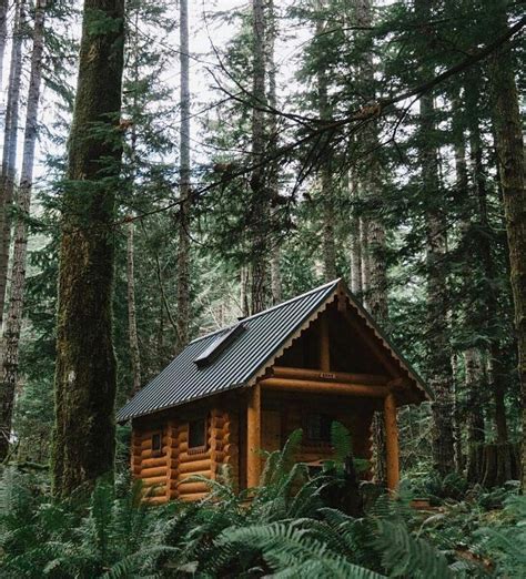Rustic Roamer Cabin Cottage In The Woods Forest House