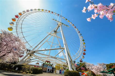 Japankuru Sakura Season At Tokyo Amusement Park Yomiuriland 🌸 Be