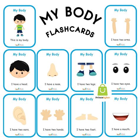 My Body Laminated Flashcards 10 Pcs Parts Of The Body Flash Cards For