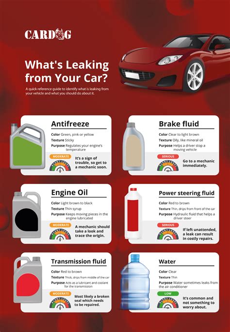 Whats Leaking From Your Car Cardog Solutions