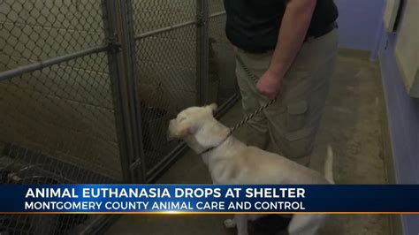 Montgomery Co Animal Shelter Works To Lower Euthanasia Rate