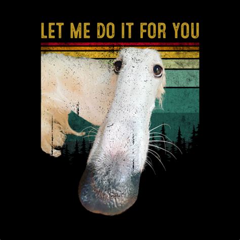 Funny Memes Borzoi Dog Let Me Do It For You Let Me Do It For You