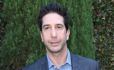 David schwimmer is an american actor, director, and producer. David Schwimmer on #MeToo: There Needs to Be a Spectrum of Bad Behavior | David Schwimmer : Just ...