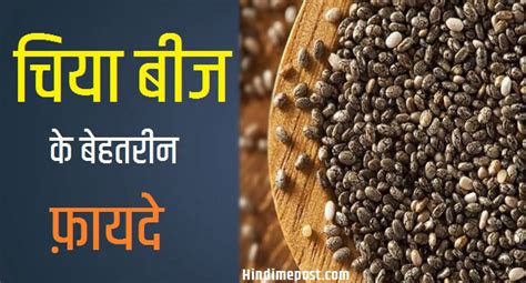 चिया बीज के 15 बेहतरीन फ़ायदे एवं स्वास्थ्य लाभ Chia Seeds In Hindi